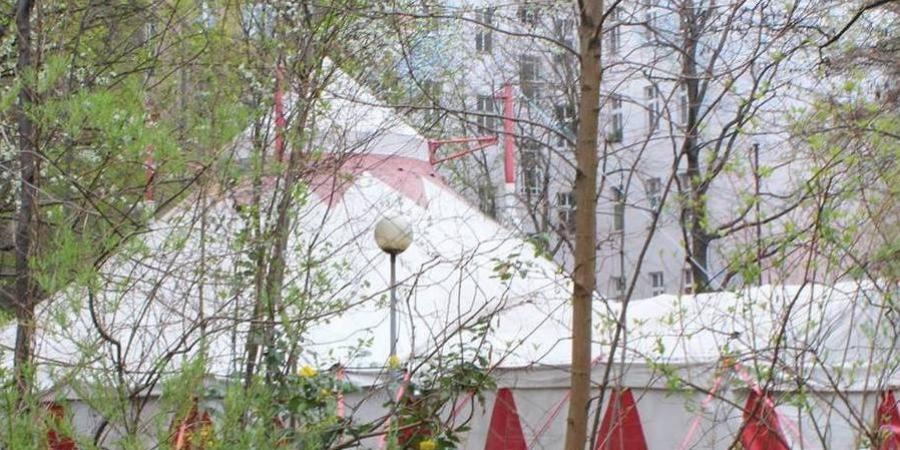 Foto: Circus Schatzinsel